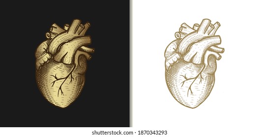 Símbolo de corazón o amor. Ilustración de grabado vintage de oro vectorial en un fondo oscuro y brillante. Para web, afiches, infografías, tatuajes, tarjetas de tarot.