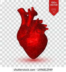 Herz. Low-Poly-Menschenherz. Abstraktes Anatomieorgan. Medizinkonzept. 3D einzelne polygonale Vektorillustration Illustration.