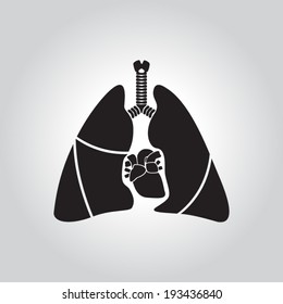 Heart and lung anatomy
