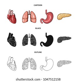 Heart, lungs, stomach, pancreas. Human organs set collection icons in cartoon, black, outline style vector symbol stock illustration web.