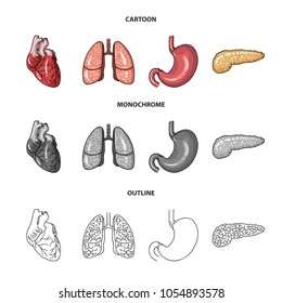 Heart, lungs, stomach, pancreas. Human organs set collection icons in cartoon,outline,monochrome style vector symbol stock illustration web.