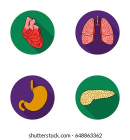 Heart, lungs, stomach, pancreas. Human organs set collection icons in flat style vector symbol stock illustration web.