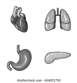 Heart, lungs, stomach, pancreas. Human organs set collection icons in monochrome style vector symbol stock illustration web.