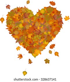 Heart made of autumn leaves