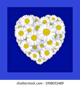 A heart made up of beautifully rendered daisy blooms framed on a deep blue background. Love concept.