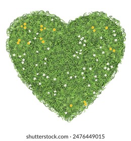 The heart made of green grass and white and yellow small flowers. A cute illustration  of love, summer, ecology, harmony. View from above. A heart-shaped lawn top view.