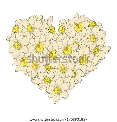 heart made of narcissus set vector. Construct your own narcissus wreath. Elements for constucting postcards and invitations.