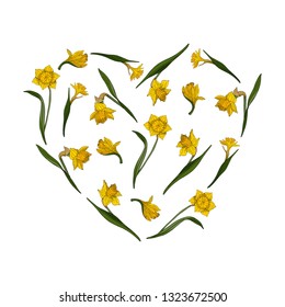 Heart made of yellow daffodils. Template with floral romantic elements for your season design
