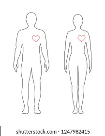 Heart of man. Vector linear illustration. Man and woman in full growth with the designation of the heart on a white background.