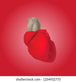 heart modeling  red background. useful for hospital 