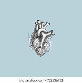 Heart on fish hook on blue sky pastel color background. illustration vector with live trace from hand drawing. line art tattoo graphic design.