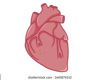 Corazón de fondo blanco, dibujado a mano en el comprimido