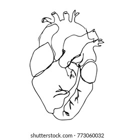 Download Similar Images, Stock Photos & Vectors of Anatomical heart ...