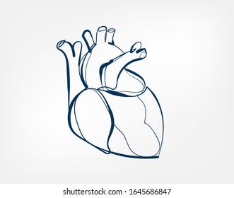 heart one line vector illustration isolated