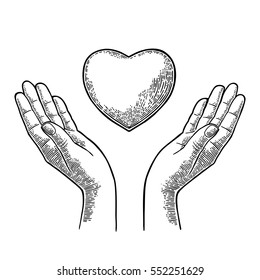 Heart in open female human palms. Vector black vintage engraving illustration isolated on a white background. For poster Valentine's Day.