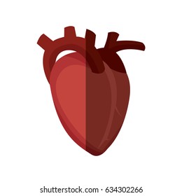 heart organ healthy design graphic