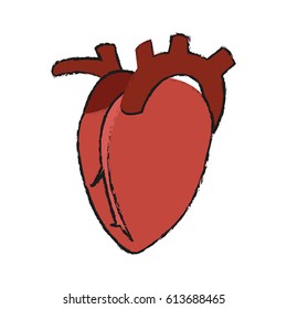 heart organ icon