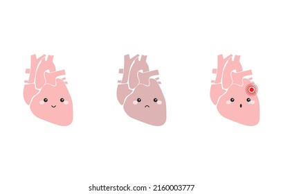 Heart organ illustration for medical design.