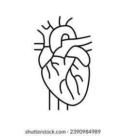 vector de icono de la línea de órganos cardiacos. signo de órgano cardiaco. símbolo de contorno aislado ilustración negra