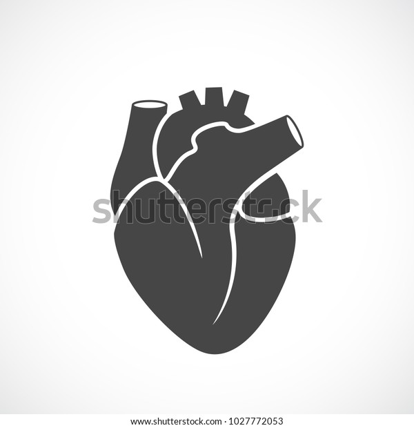 白い背景に人間の心臓の医療ベクターイラスト のベクター画像素材 ロイヤリティフリー Shutterstock