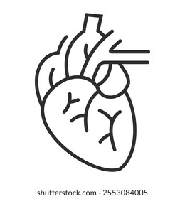 Heart outline icon, showing anatomy outline icon, minimalist vector illustration and transparent graphic element. Isolated on white background