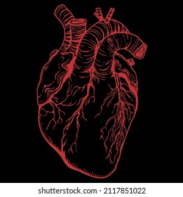 Esquema cardíaco. Ilustración vectorial. El corazón rojo en negro.
