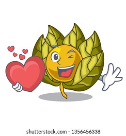 With heart physalis fruit isolated in the character