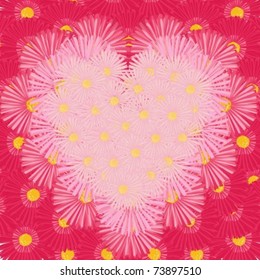 Heart from pink daisies