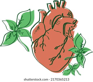 heart plant leaf vector red green