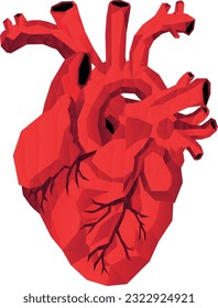 The heart from polygonal graphics