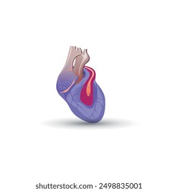 Vector de diseño de Plantilla de redes sociales, Problemas cardíacos, Consulta médica, Hospital de especialidades múltiples