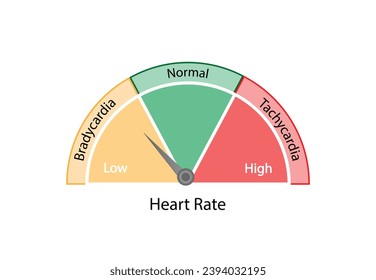 Heart rate, rhythm of the heart. Tachycardia and Bradycardia. ECG, supraventricular tachycardia and sinus bradycardia. Ventricular fibrillation. Arrhythmia. Vector illustration.