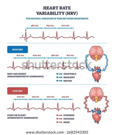 Heart rate variability (HRV) is shown with ECG lines, brain, and heart icons, illustrating high and low HRV states. Outline diagram