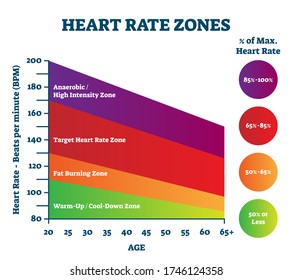 Heart rate zones vector illustration. Pulse intensity educational scheme with labeled BPM and age axis. Anaerobic, target, fat burning and warm up levels for smart and healthy sport activity exercise.