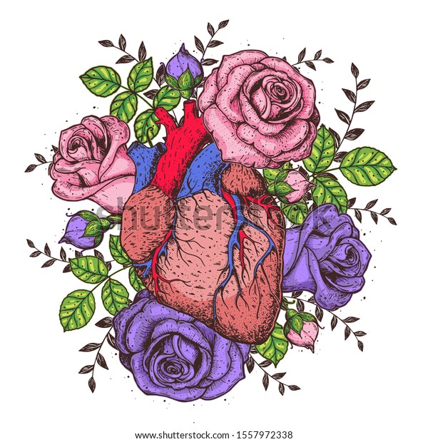 Heart Rose Flower Hand Drawn Vintage Stock Vector (Royalty Free ...