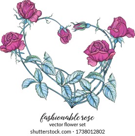 Corazón de flores de rosa. Rosa rosa. Disposición de flores vectoriales.