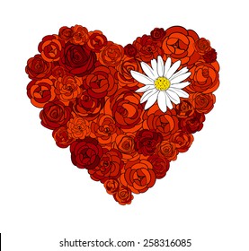 Heart of roses and daisy. Vector illustration