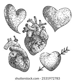 ritmo do pulso, ventrículo aorta, veia arterial esboço do vetor do coração. ilustração preta isolada