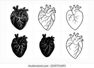 Heart set of human body