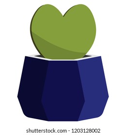 Heart shape cactus in blue pot, Hoya
