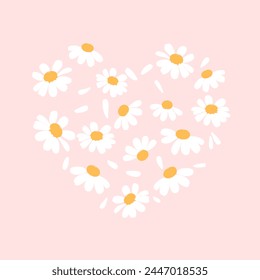 Heart shape daisy flower on pink background vector.