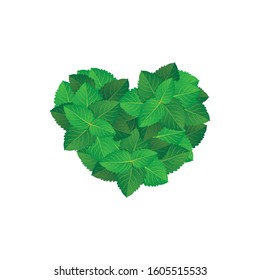 Heart shape formed by green leaves