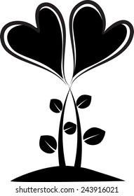 heart shape plants