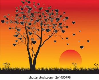 heart shape  tree with sunset background