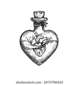 Heart shaped bottle with poison and human heartl inside. Hand drawn sketch style drawing. Magical, witchcraft equipment. Retro vintage vector illustration isolated on white.