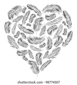 Heart shaped feathers