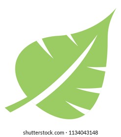 
Heart shaped leaf with cuts on the edges showcasing palm leaf 
