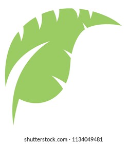 
Heart shaped leaf with cuts on the edges showcasing palm leaf 
