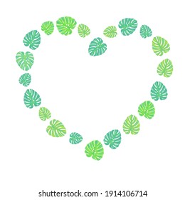 
heart shaped monstera leaves. monstera leaves on a white background. stock vector illustration isolated on white background.