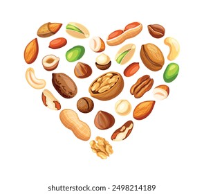 Heart shaped nuts in cartoon style. Vector illustration of a heart with healthy and tasty nuts: peanut, pistachio, walnut, pecan, macadamia, cashew, brazil nut, hazelnut isolated on white background.